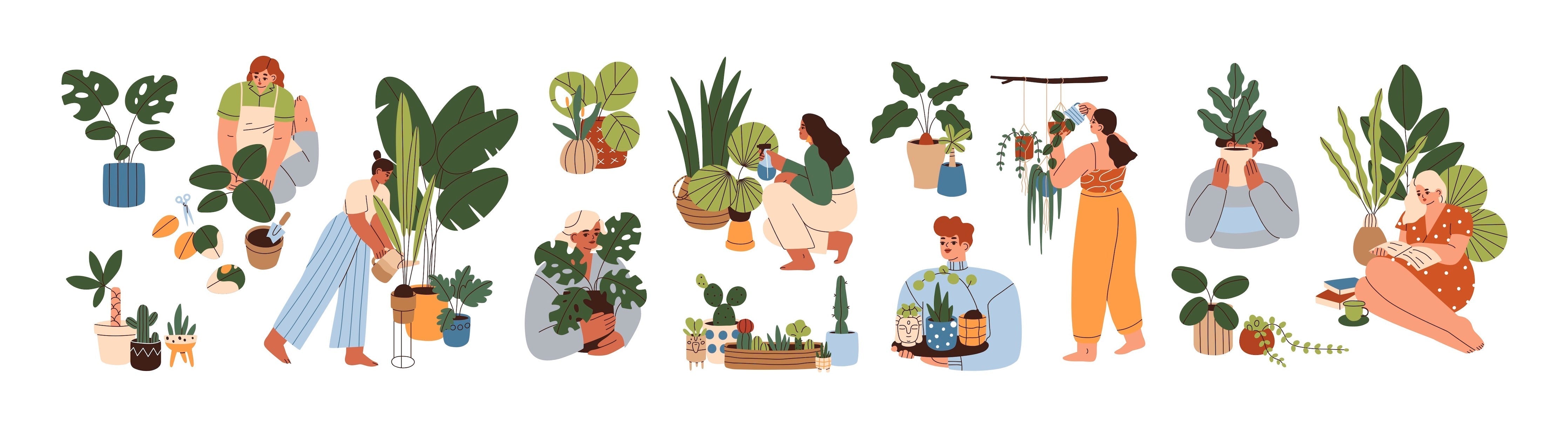 Urban Gardening