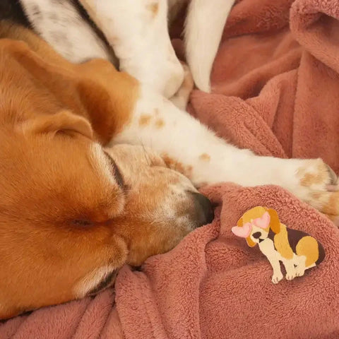Malicieuse | Iron-On Patch Beagle