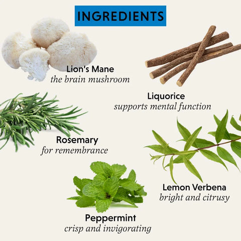 The Herbtender | Pure Focus Herbal Tea