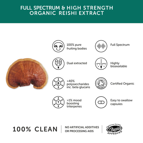 Together Wellness | Organic Reishi