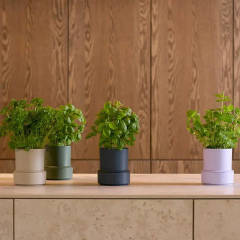 Billund | Blueberry Self-Watering Pot