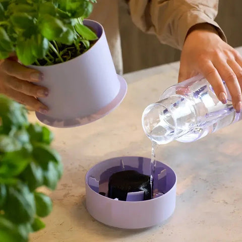 Billund | Blueberry Self-Watering Pot