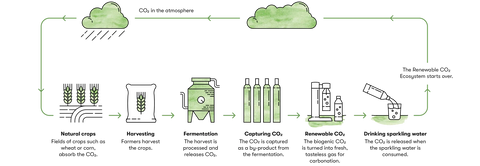 CO2 Gas Cylinder