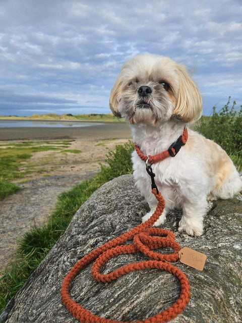 Crafty Cunús | 1 Metre Dog Thick Lead Rust