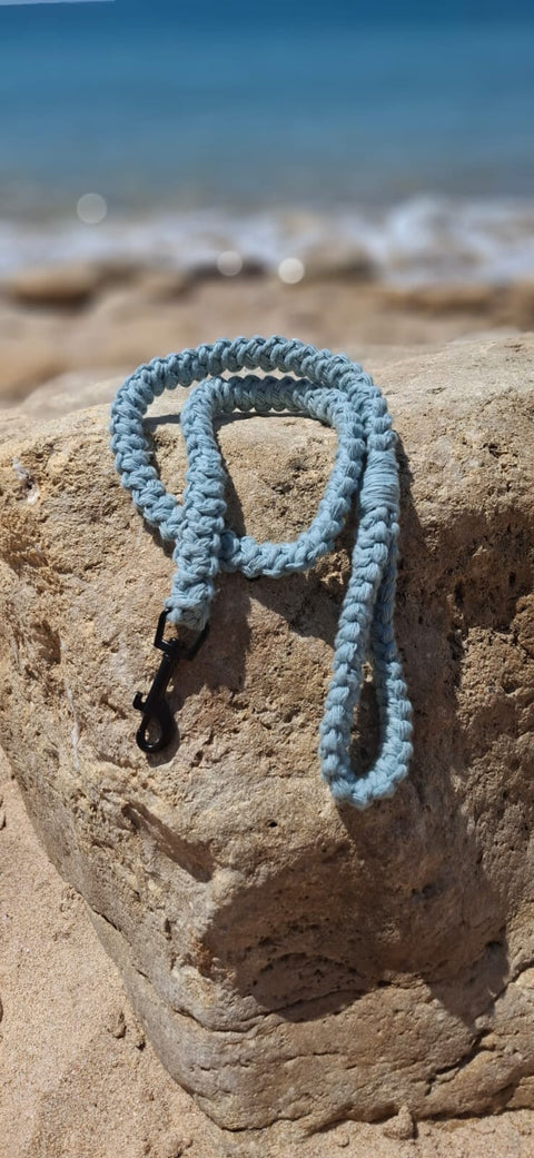 Crafty Cunús | 1 Metre Slim Dog Lead Sage