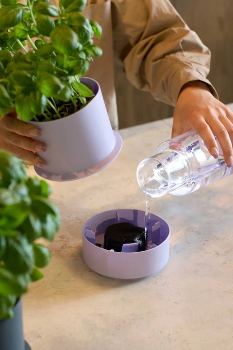 Crushgrind | Billund  Self-Watering Pot Parsley