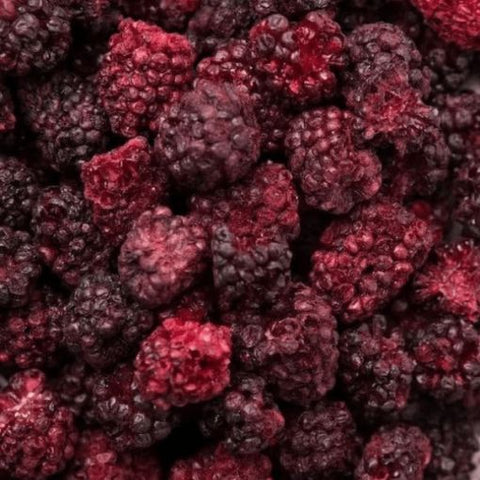 Drink Botanicals| Freeze Dried Blackberries