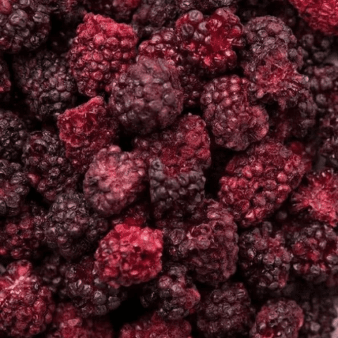 Drink Botanicals| Freeze Dried Blackberries