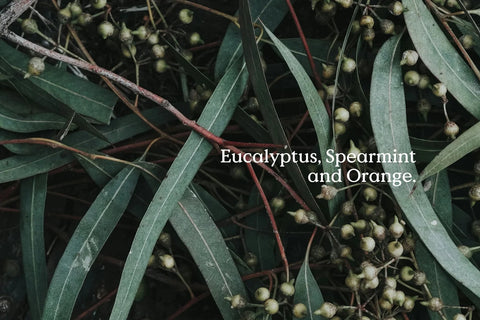 FieldDay | All Is Calm Diffuser