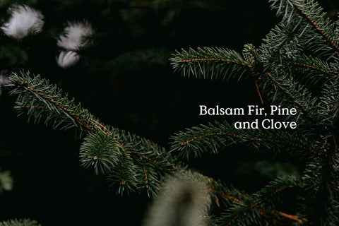 FieldDay | Fir Diffuser