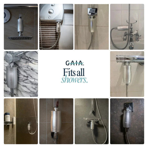Gaia | Silver Shower Filter