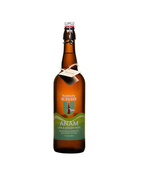 Kombucha Na Dálaigh | Anam : Ginger, Lime & Hops