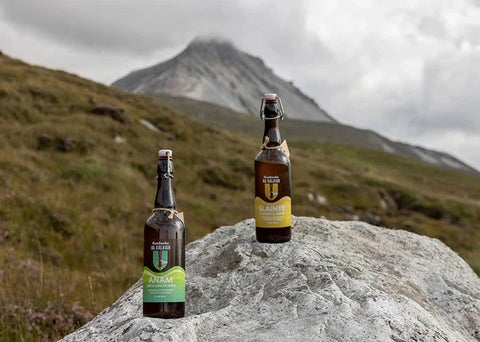 Kombucha Na Dálaigh | Sláinte: Turmeric & Ginger