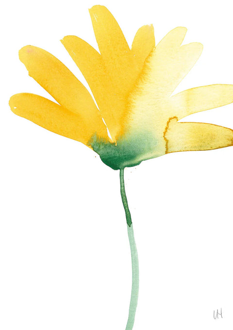 Lisa Hardy | Calendula Greeting Card