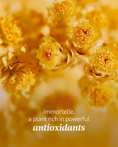 L’Occitane | Immortelle Precious Dynamic Eye Balm