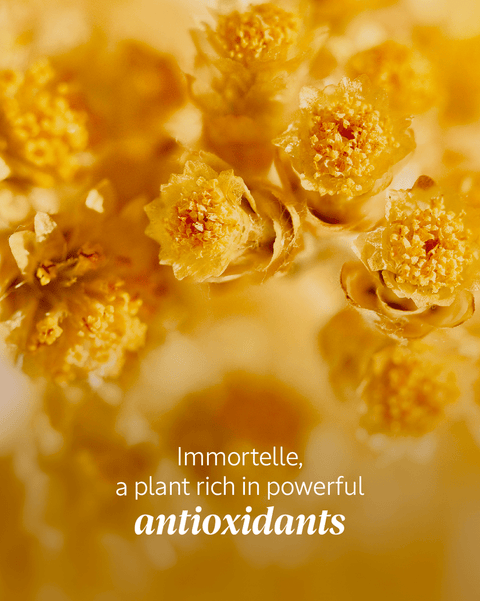 L’Occitane | Immortelle Precious Dynamic Eye Balm