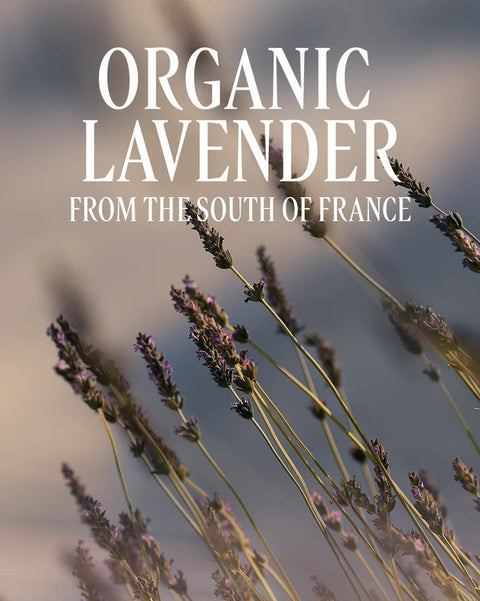 Organic lavender from the South of France, featuring delicate purple lavender flower spikes on thin green stems against a soft, blurred background with white text overlay.