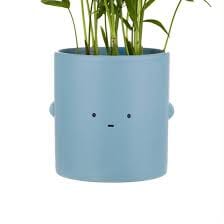 Ohh Deer - Mini Blue Straight Face Toki Plant Pot