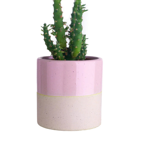Ohh Deer - Pink Dipped Mini Plant Pot