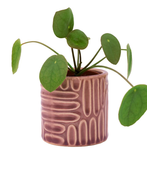 Ohh Deer - Pink Indented Plant Pot