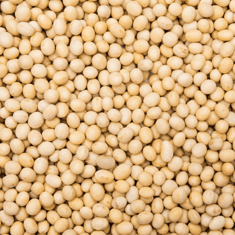 Organic Soya Beans