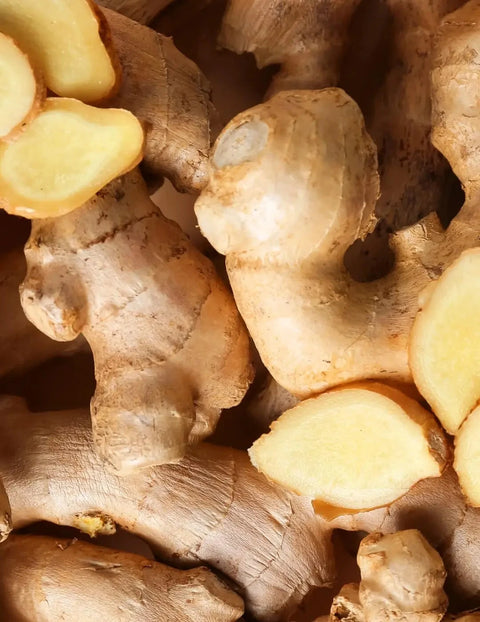 Pukka | Lemon, Ginger & Manuka Honey 40 Bags