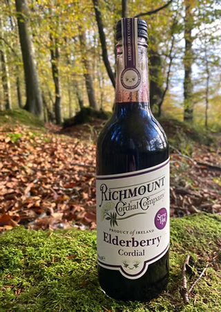 A bottle of Richmount Cordial Company Elderberry Cordial stands on moss in an outdoor forest setting with fallen leaves and trees in the background.