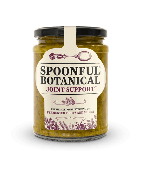 Spoonful Botanicals | Fermented Fruits & Spices