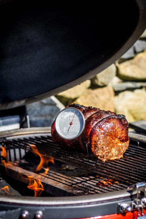 Taylor Pro | Leave In Meat Thermometer