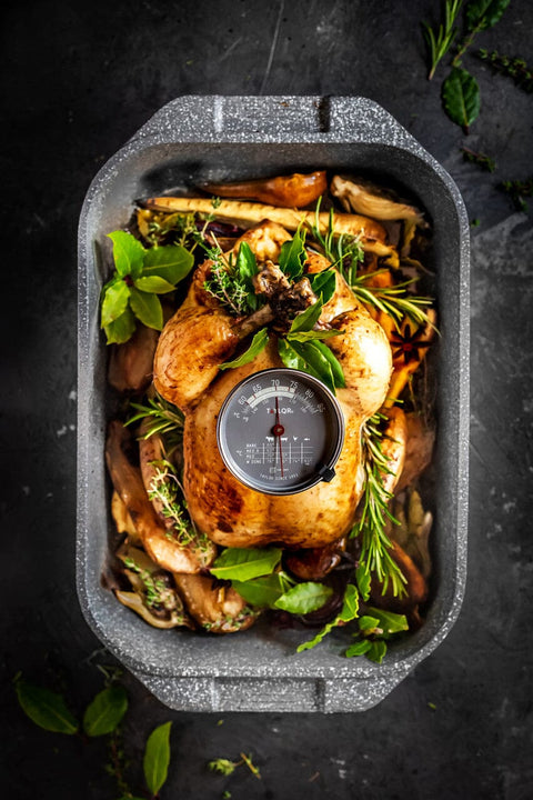 Taylor Pro | Leave In Meat Thermometer
