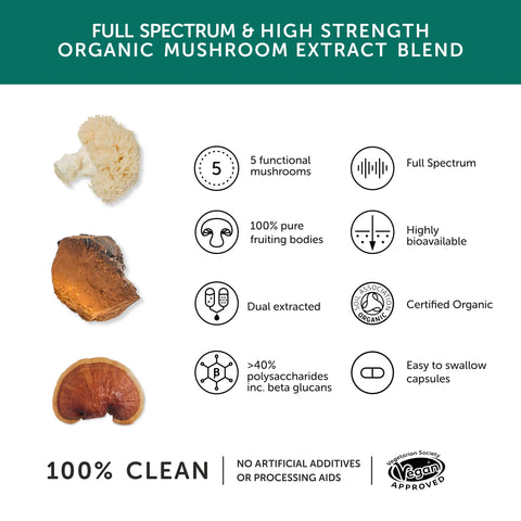 Together Health | 5 Mushroom Complex