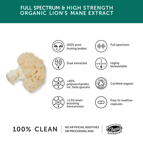 Together Health | Lion's Mane Mushroom
