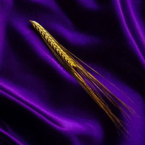 Waterford Irish Single Malt Whisky | Heritage Goldthorpe