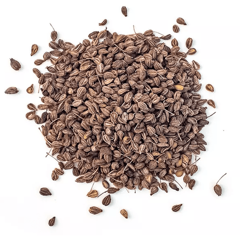 Anise