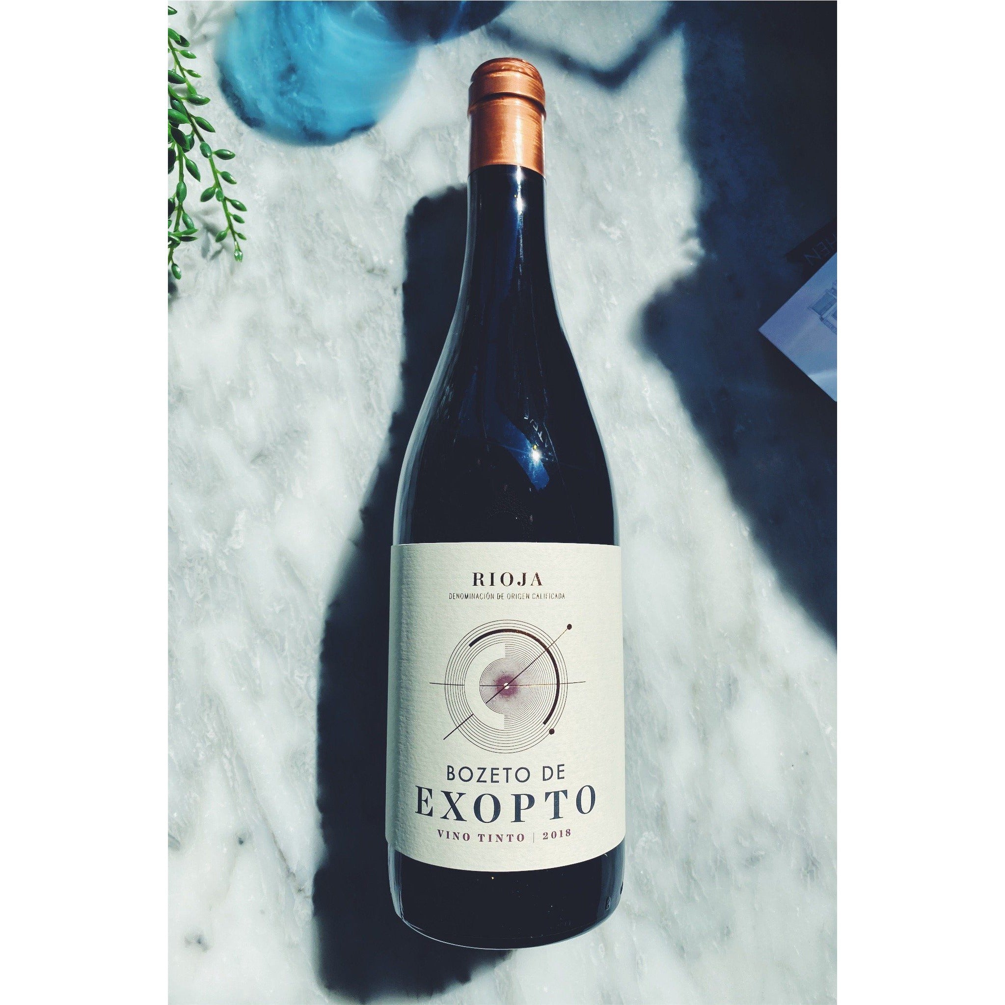 Bozeta De Exopto 2018- Rioja - Kate's Kitchen