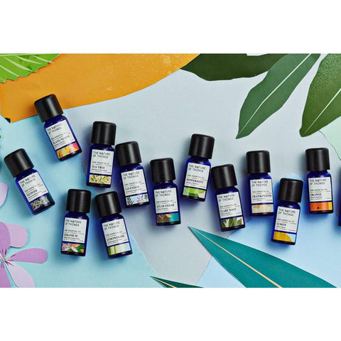 The Nature Of Things - Lavender Essential Oil - Kate's Kitchen