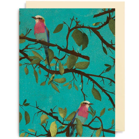 Roller Bird - Kyle Metcalf