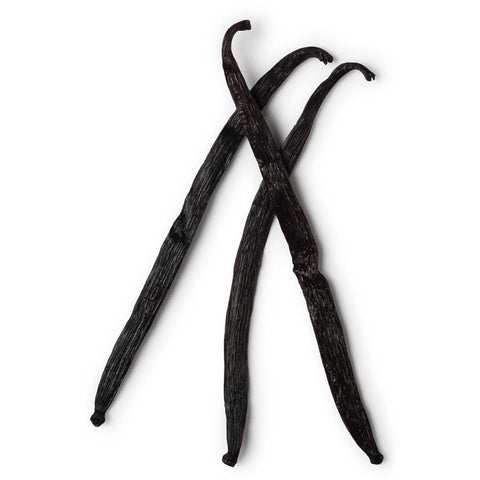 Vanilla Pod (1) - Kate's Kitchen