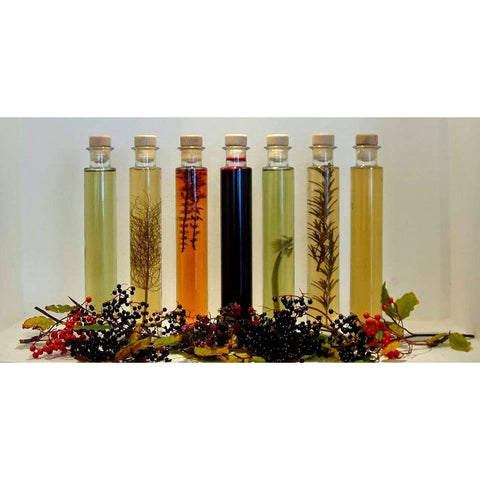 Wildwood Wild Fuschia Balsamic - Kate's Kitchen