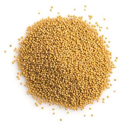 Yellow Mustard Seeds - Kate's Kitchen